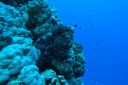 DSC00062.JPG