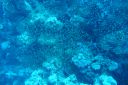 DSC00107.JPG