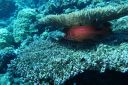 DSC00136.JPG