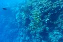 DSC00139.JPG