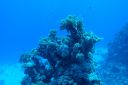 DSC00155.JPG