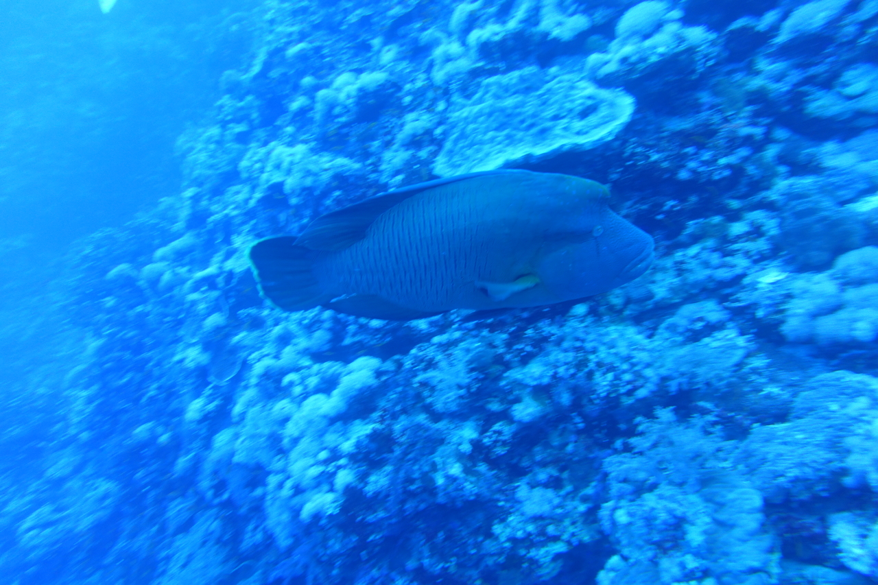 DSC00039.JPG