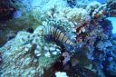 DSC00021.JPG