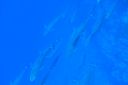 DSC00029.JPG