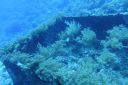 DSC00043.JPG