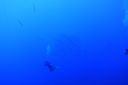 DSC00020.JPG