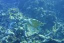 DSC00053.JPG