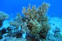 DSC00058.JPG
