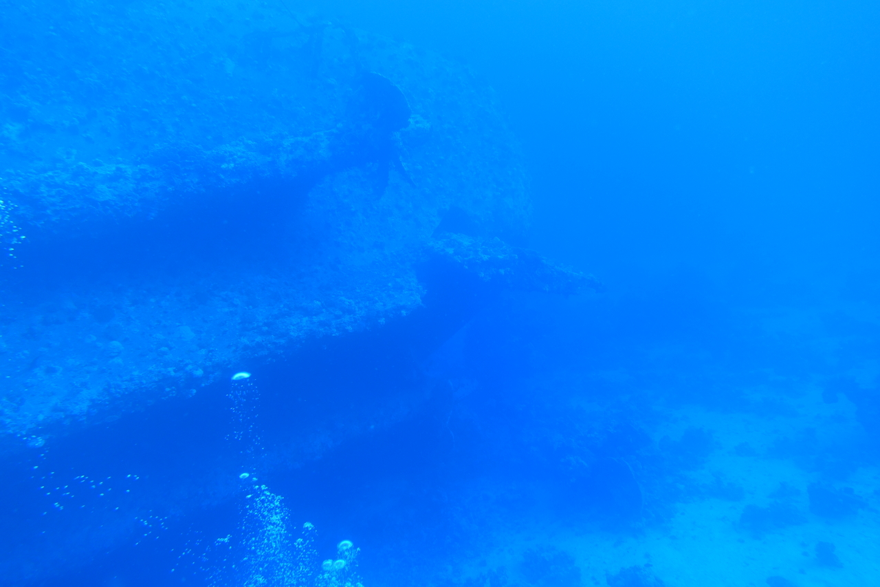 DSC00221.JPG
