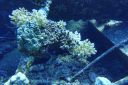 DSC00154.JPG