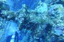 DSC00204.JPG