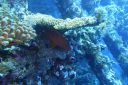 DSC00213.JPG