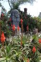 DSC00014.JPG