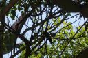 DSC00022.JPG