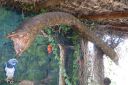 DSC00033.JPG