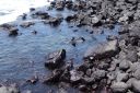 DSC00155.JPG