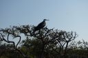 DSC00160.JPG