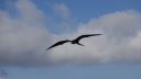 DSC00166.JPG