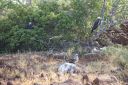 DSC00179.JPG