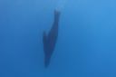 DSC00277.JPG