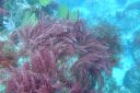 DSC00304.JPG