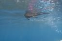 DSC00358.JPG