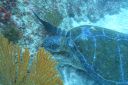 DSC00360.JPG