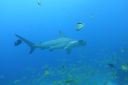 DSC00388.JPG