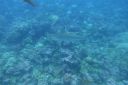 DSC00420.JPG
