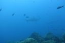 DSC00430.JPG
