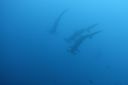 DSC00434.JPG