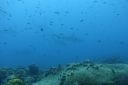 DSC00439.JPG