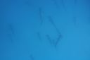 DSC00445.JPG
