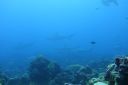 DSC00471.JPG