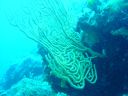 DSC00265.JPG