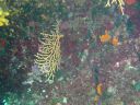 DSC00051.JPG