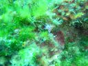DSC00120.JPG