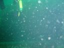 DSC00135.JPG