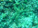 DSC00201.JPG
