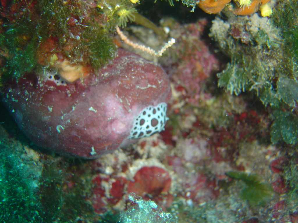 DSC00028.jpg