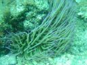 DSC00096.JPG