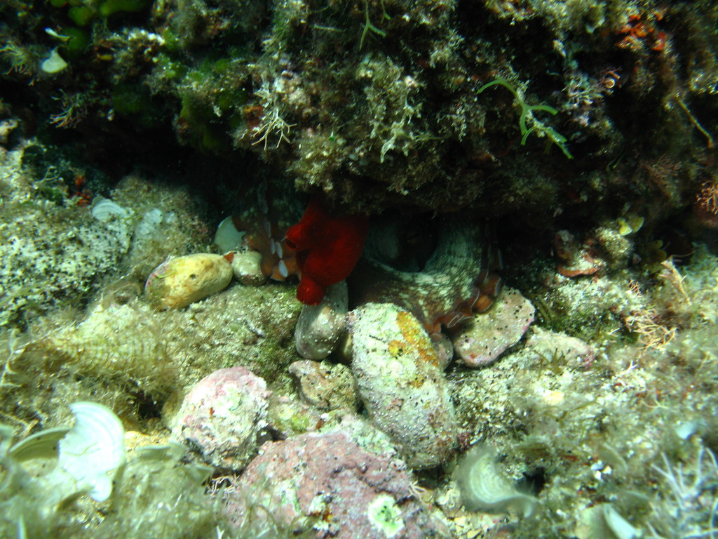 IMG_3853.jpg