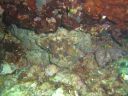 DSC00053.JPG