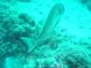 DSC00089.JPG