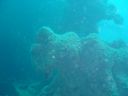 DSC00115.JPG