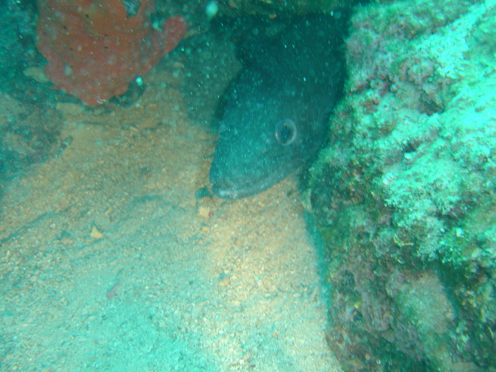 DSC00383.jpg