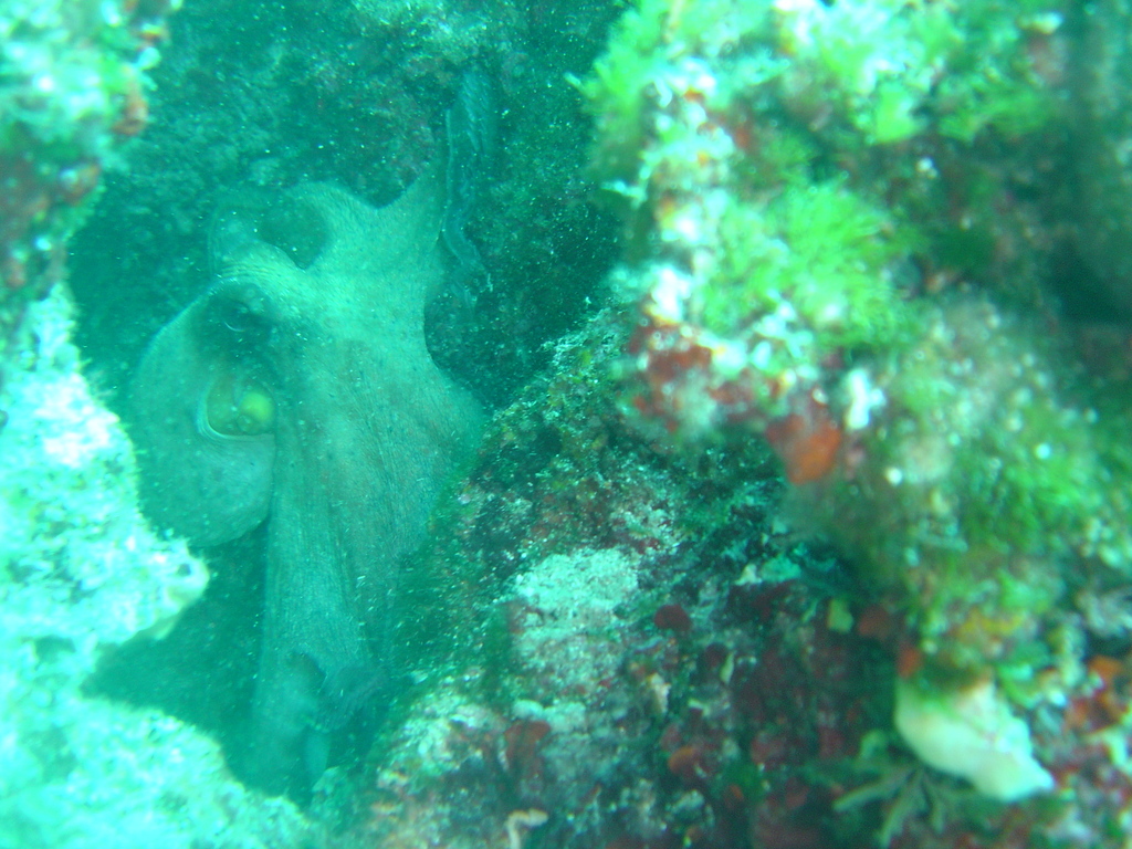 DSC00437.jpg