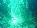 DSC00144.JPG