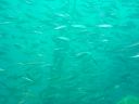 DSC00283.jpg