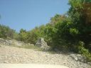DSC00288.jpg